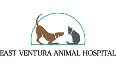 East Ventura Animal Hospital-HeaderLogo